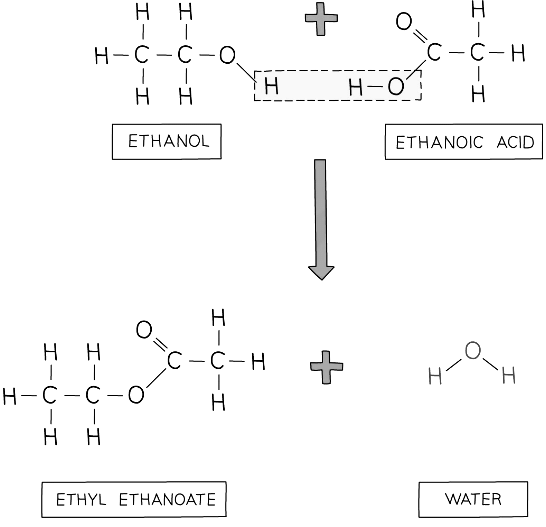 Carboxylic Acids - Chemistry for Grade 10 PDF Download