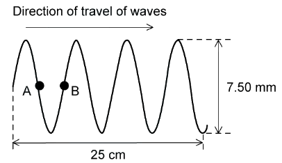 Longitudinal and Transverse Waves - Physics for Grade 12 PDF Download