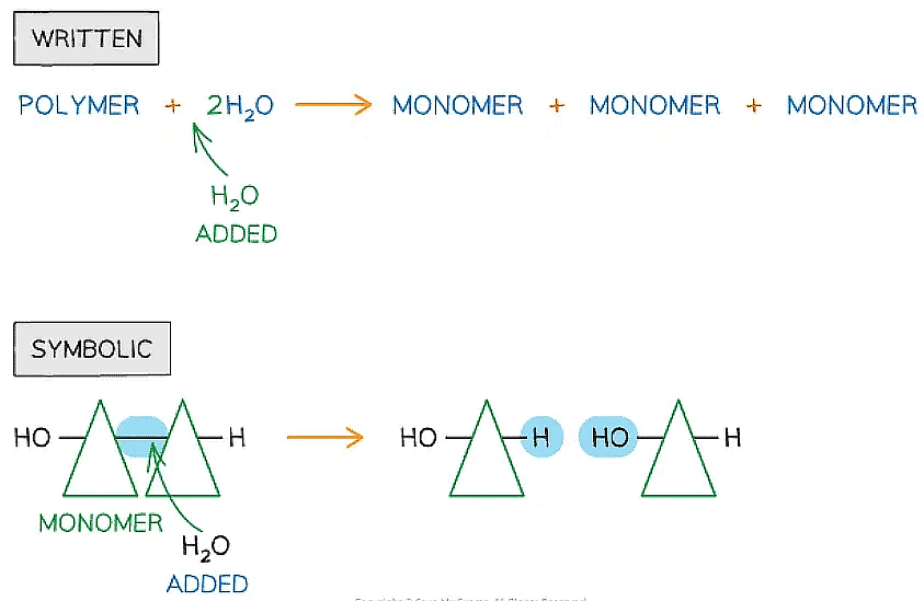 Biological Molecules Carbohydrates Biology for Grade 12 PDF Download