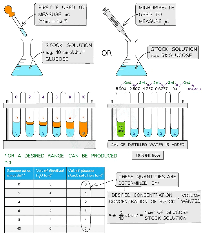 Biological Molecules Carbohydrates Biology for Grade 12 PDF Download