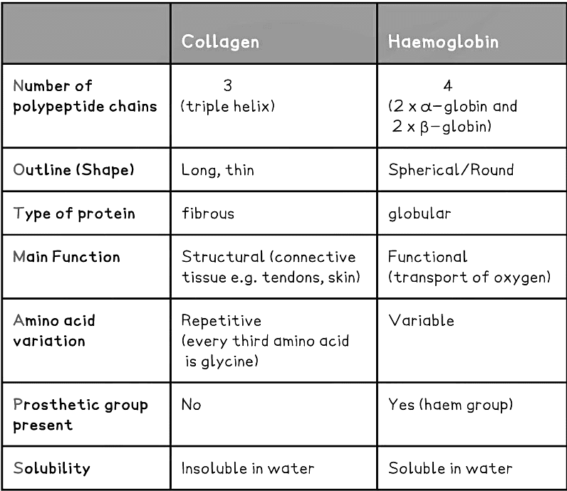 Proteins Biology for Grade 12 PDF Download