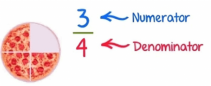 Fractions and Decimals Class 7 Notes Maths Chapter 2