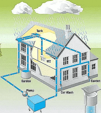 NCERT Solutions for Class 8 Geography - Land, Soil, Water, Natural ...