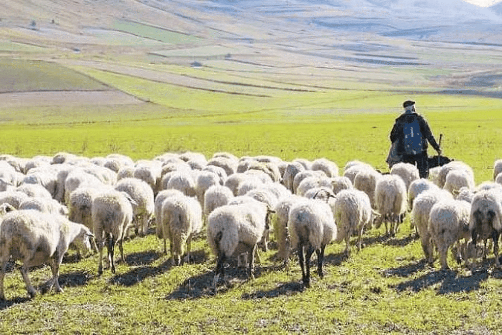 Pastoralist Communities