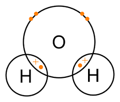 Water molecule has a single covalent between one oxygen and two hydrogen atoms(H2O)