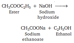 Carbon & Its Compounds Chapter Notes | Science Class 10