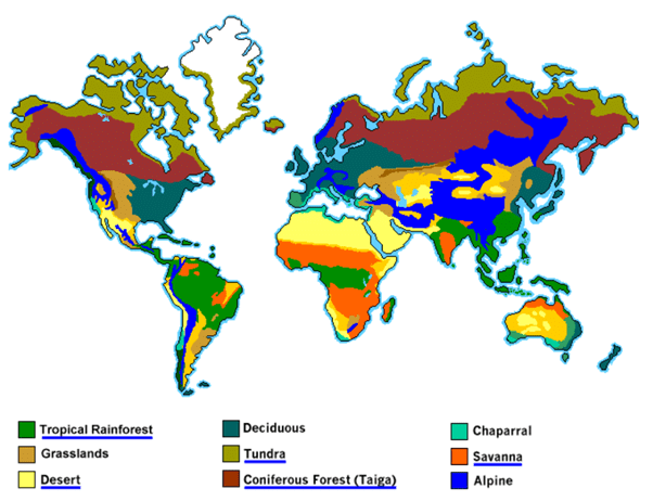 Grasslands of the World - Geography for UPSC CSE PDF Download