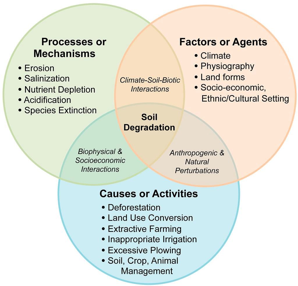 NCERT Summary: Soils- 1 Notes | Study Geography for UPSC CSE - UPSC