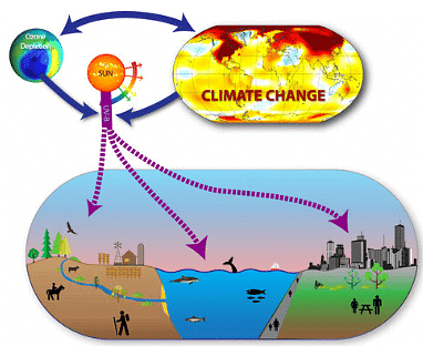 Shankar IAS Summary: Ozone Depletion- 2 - Famous Books for UPSC Exam ...