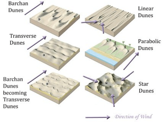 Aeolian Landforms - Geography for UPSC CSE PDF Download