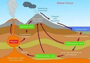 Type of Rocks - Notes | Study Geography for UPSC CSE - UPSC