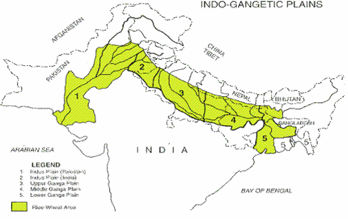 Indo- Gangetic Plains