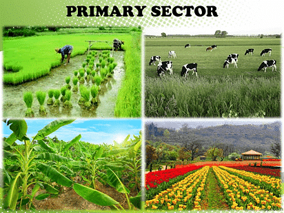 Ramesh Singh Summary: Mixed Economy & Sectors of Economy | Indian Economy for UPSC CSE