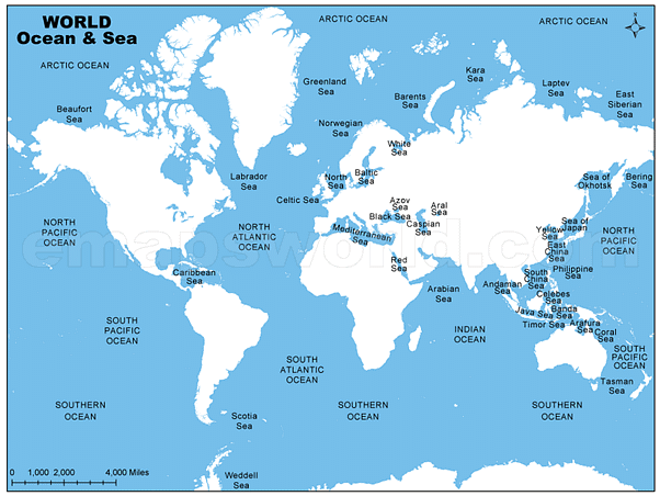 tasman sea on world map