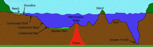 Ocean Floor - UPSC PDF Download