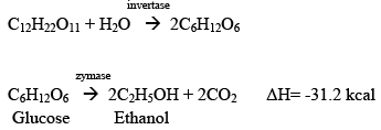 Manufacture of Ethanol from Molasses - Chemical Technology - Chemical ...