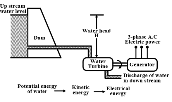 Basic Components of a Hydel Generating Unit