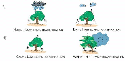 Estimating Irrigation Demand (Part - 2) Notes - Civil Engineering (CE)