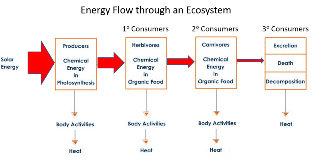 our-environment-class-10-notes-science-chapter-13-free-pdf