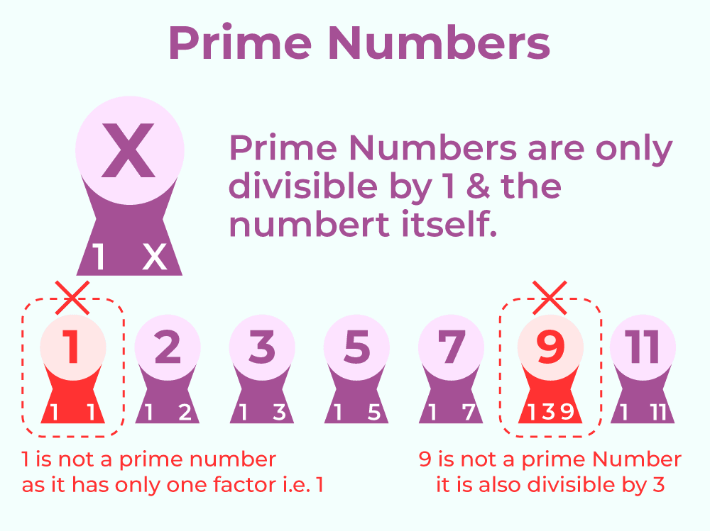 Playing with Numbers Class 6 Notes Maths