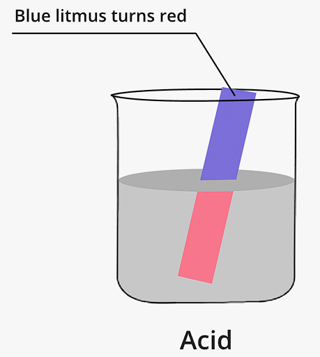 Litmus Test Table Class 7 Science Chapter 4 Question Answers - Acids, Base and Salts