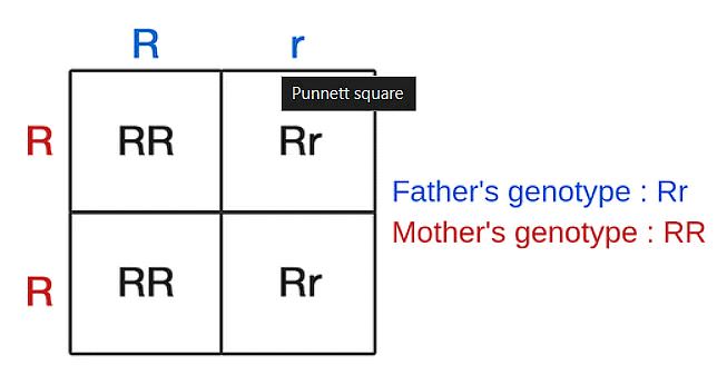 Important Diagrams: Principles of Inheritance and Variation - Biology ...