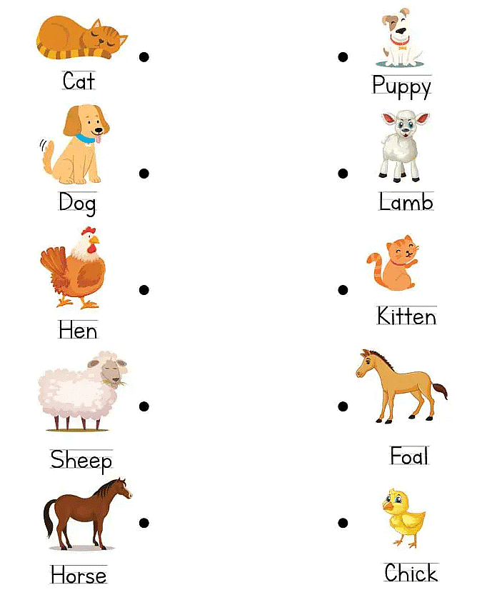 Worksheet: Young Ones of Animals - GK for UKG PDF Download