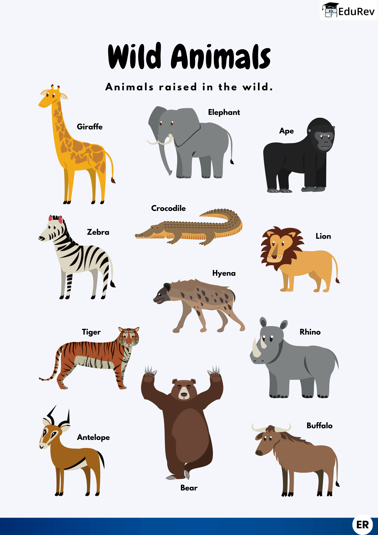 Learn at a Glance: Wild Animals - EVS for LKG PDF Download