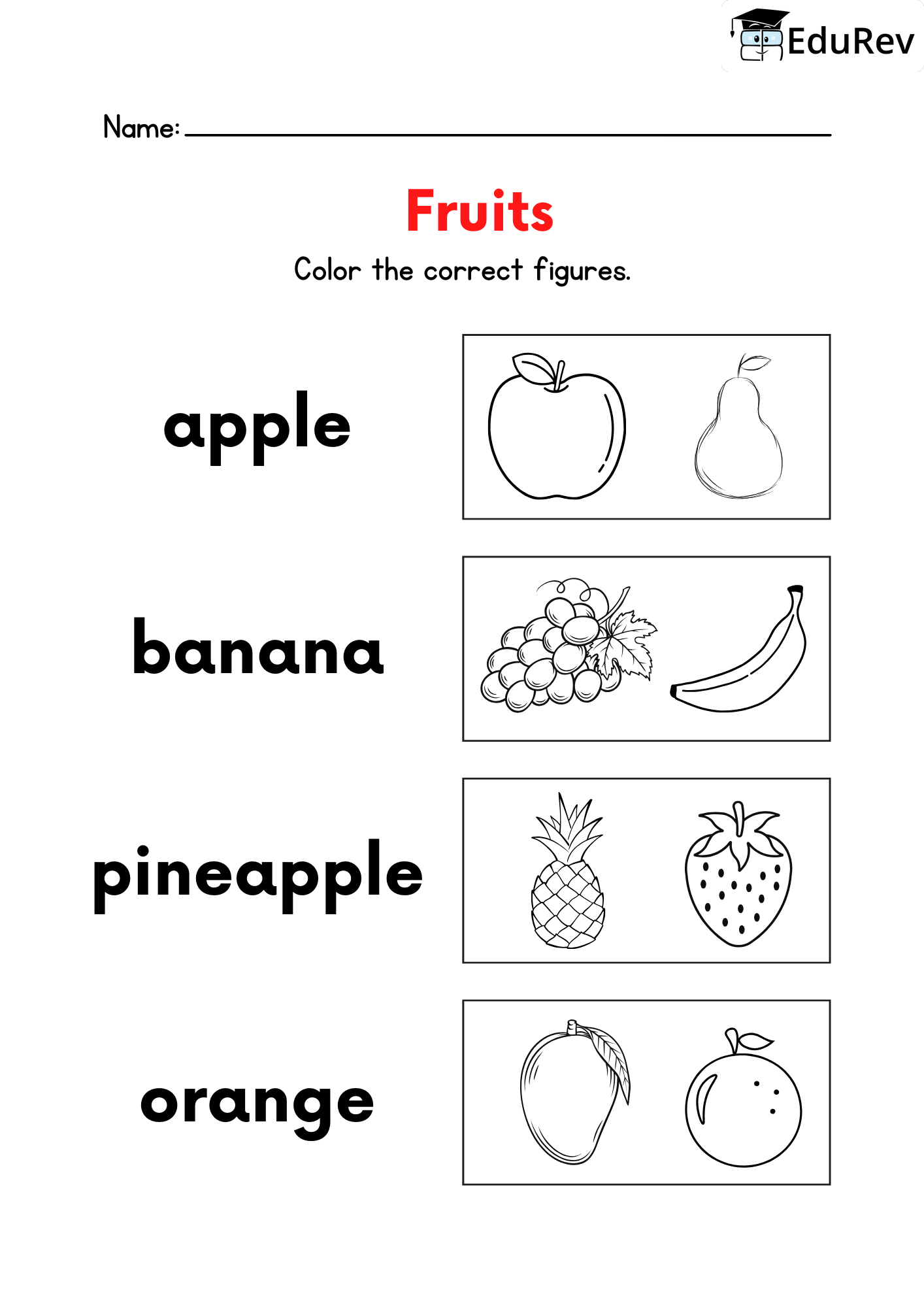 Visual Worksheets - Colour Correct Fruits - EVS for LKG PDF Download