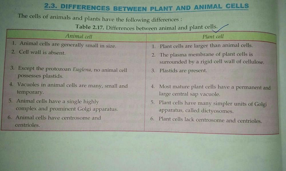 main difference between animal and plant cell Related: Cell- Basic Unit of  Life - The Fundamental Unit of Life, Class 9, Science | EduRev Class 9  Question