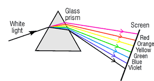 Overview: The Human Eye And The Colorful World - Science Class 10 Pdf 