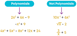 Polynomials Class 9 Notes Maths Chapter 2
