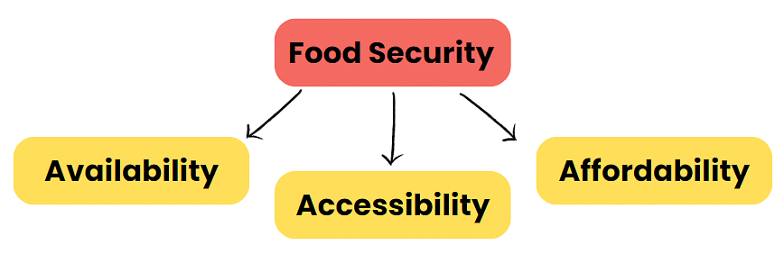 Class 9 Economics Chapter 4 Notes - Food Security in India