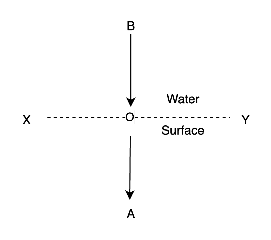 Waves, Wave Motion and Types of Waves Physics Class 11 NEET PDF