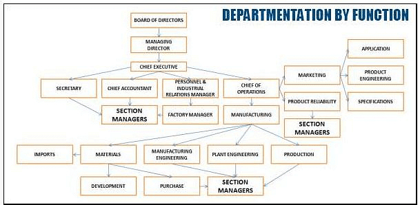 Departmentation - Organizing, Contemporary Management Notes | Study Contemporary Management - B Com
