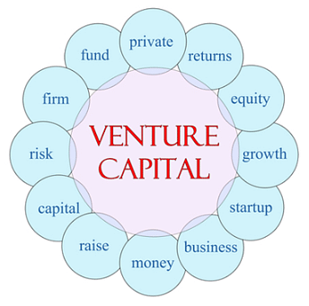 Venture Capital Financing: Is It a Good Idea?