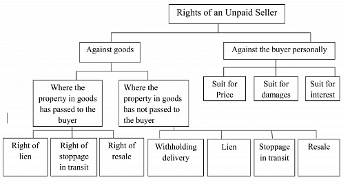 Rights of an Unpaid Seller - The Sale of Goods Act(1930) , Business Law | Business Law - B Com
