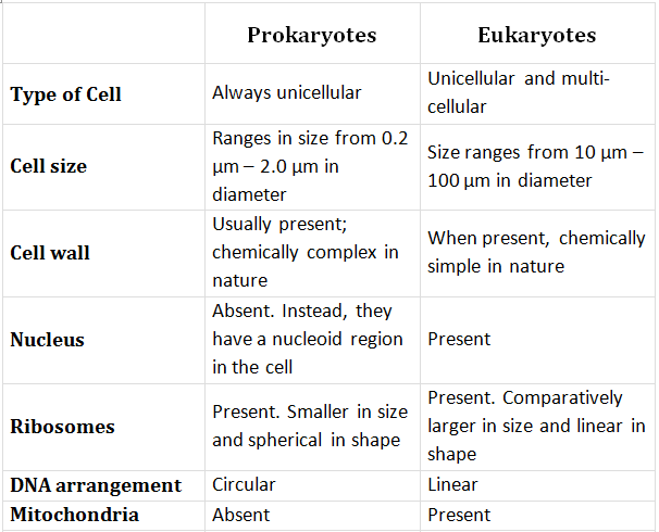 difference-between-prokaryotic-and-eukaryotic-cells-class-11-pdf-download