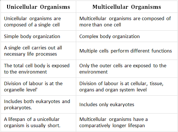 difference-between-unicellular-and-multicellular-organisms-class-11