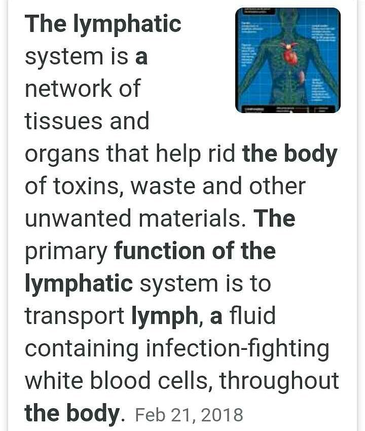 What is lymph?What is it's role in our body? Related: Short Question Answers  - Nutrition in Animals? | EduRev Class 7 Question