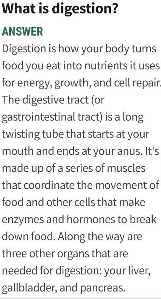 What is Digestion?