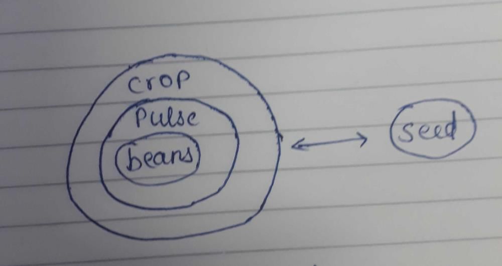 StatementsAll beans are pulses.All pulses are crops.No crop is a seed