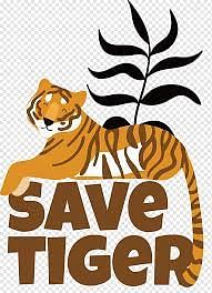 Essay on Tiger | Essays for Class 4
