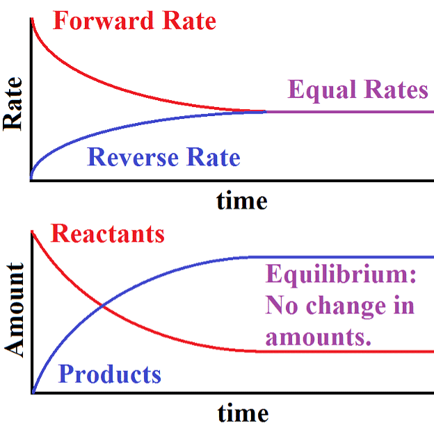 Equilibrium in Chemical Processes: Dynamic Equilibrium, Law of Chemical Equilibrium | Chemistry for JEE Main & Advanced