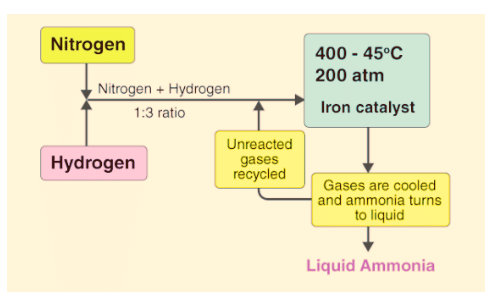 Equilibrium in Chemical Processes: Dynamic Equilibrium, Law of Chemical Equilibrium | Chemistry for JEE Main & Advanced