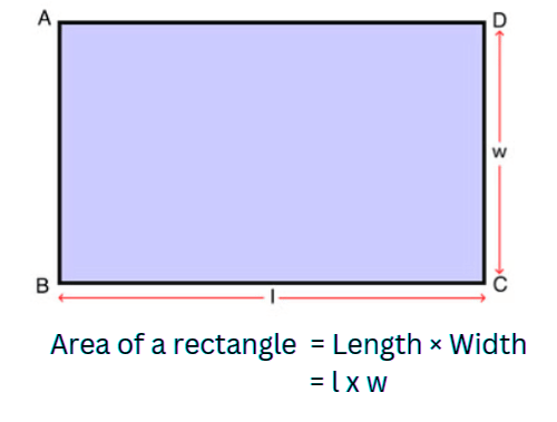 Area and its Boundary Class 5 Notes Maths Chapter 11