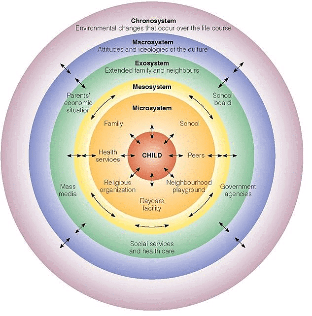          Bronfenbrenner’s Ecological Systems Theory