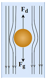 Stoke`s Law Representation