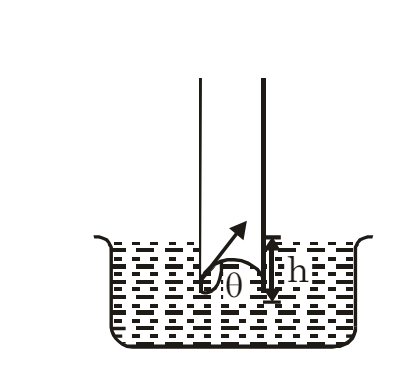 Mechanical Properties of Fluids: Capillarity | Physics for JEE Main & Advanced