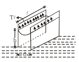 Mechanical Properties of Fluids: Capillarity | Physics for JEE Main & Advanced